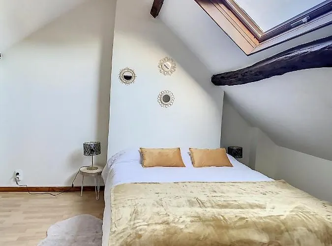 Appartement Charmant Triplex Centre-ville De